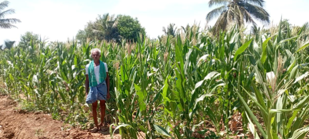 border crops india.PNG